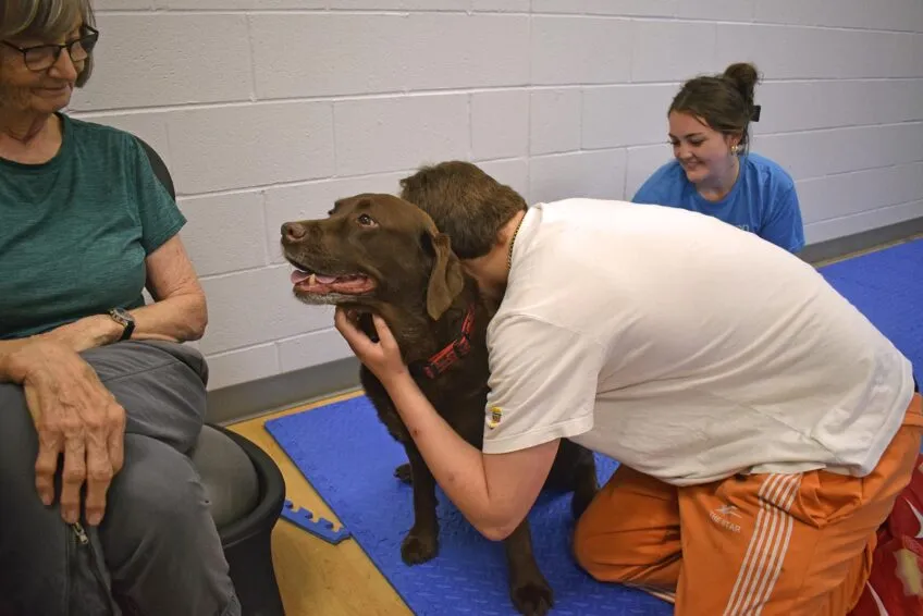 boy wearing a white tshirt and orange gym shorts hugging a Labador