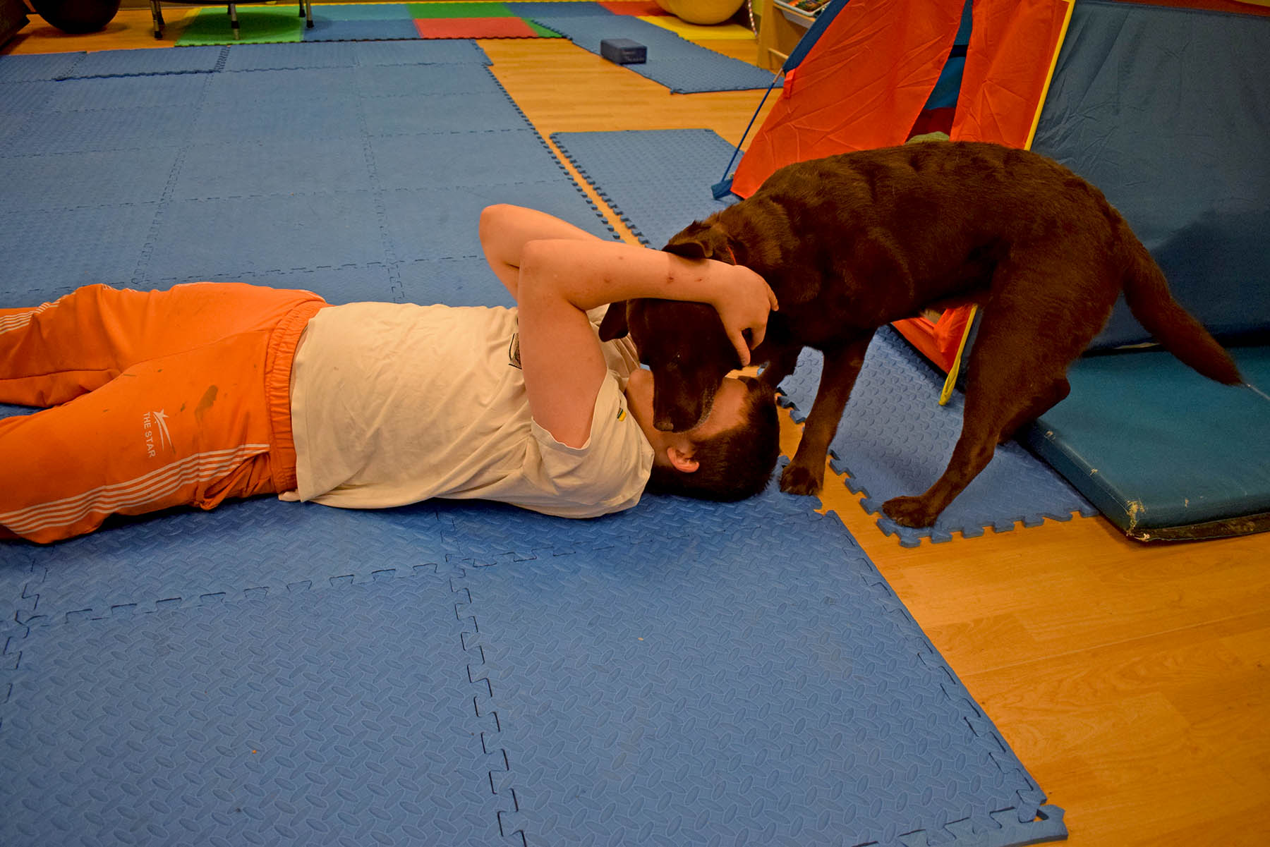 boy wearing white tshirt and orange gym shorts laying on his back with his arms reaching up and hugging the neck of a brown labador